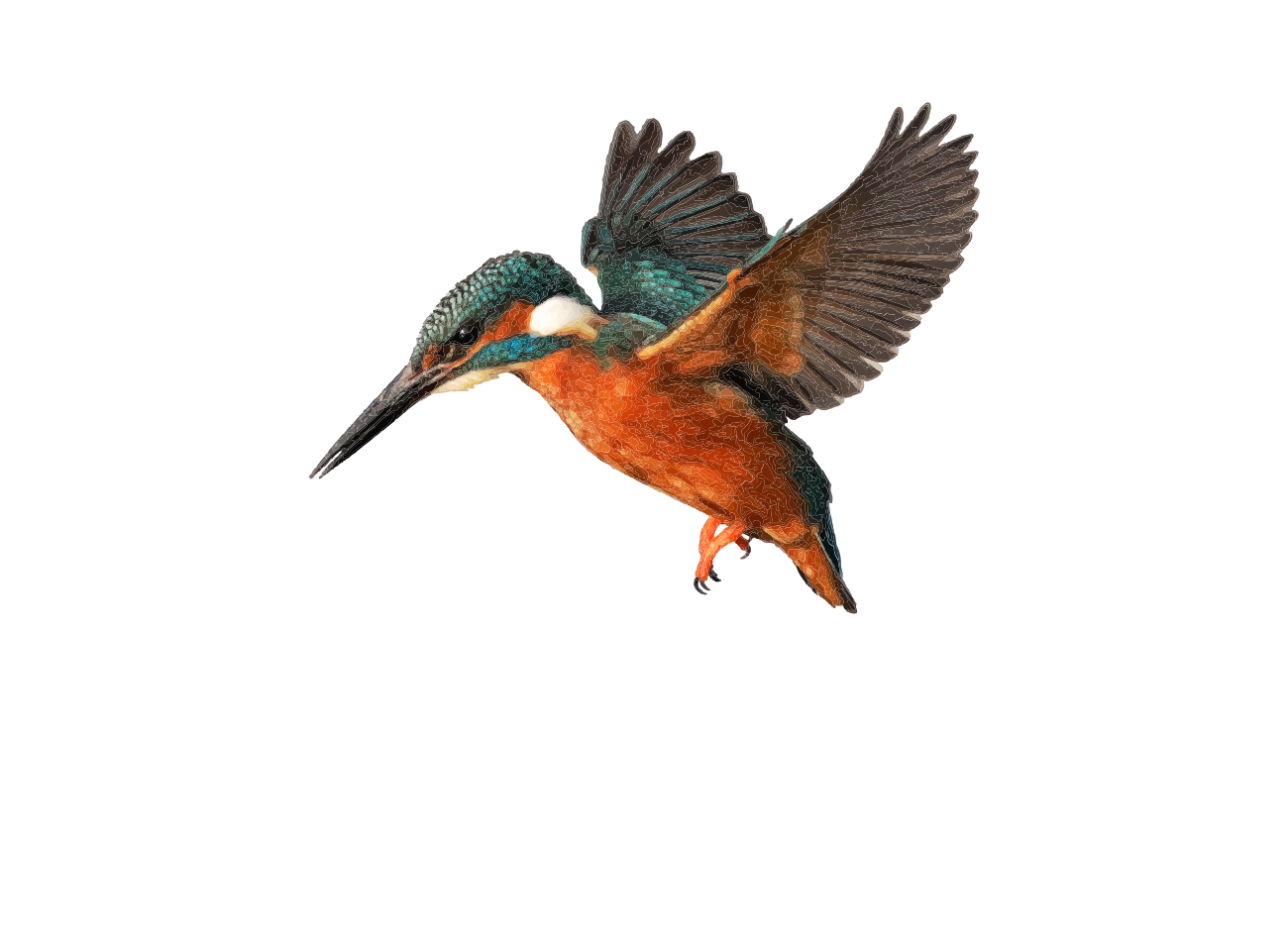 Luscinia View
